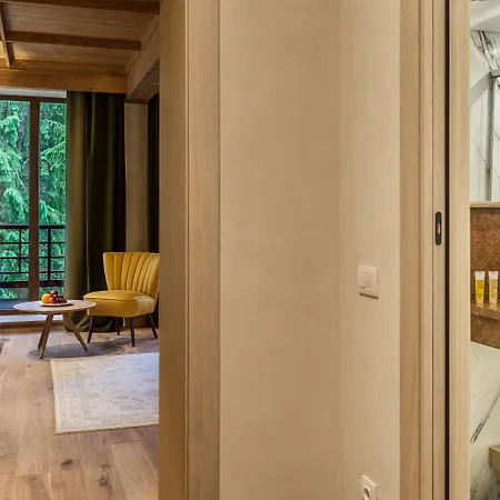 Hotel Ana Hotels Bradul Poiana Poiana Brasov