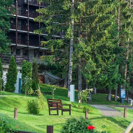 Ana Hotels Bradul Poiana