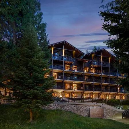 Hotel Ana Hotels Bradul Poiana