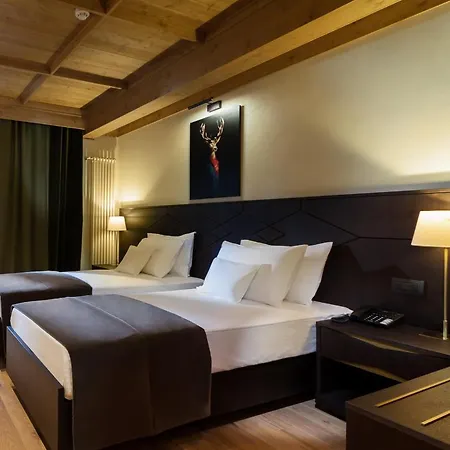 Ana Hotels Bradul Poiana 4* Poiana Brasov