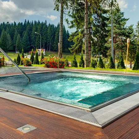 Ana Bradul Poiana Brasov
