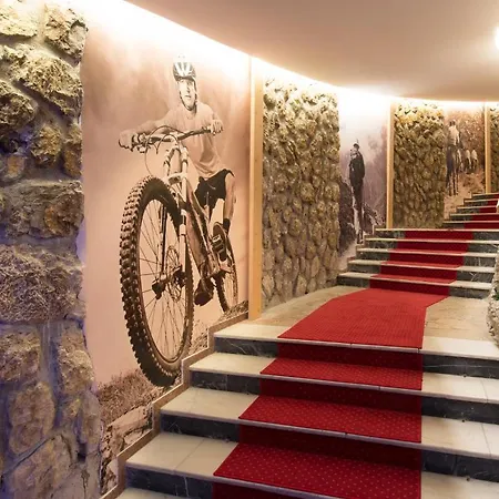 Ana Hotels Bradul Poiana 4* Poiana Brasov