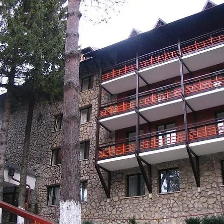 Hotel Ana Hotels Bradul Poiana 4*