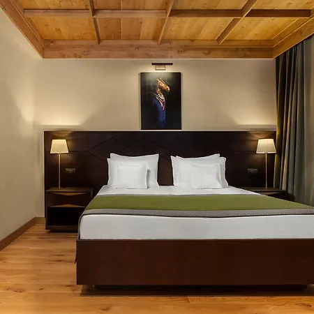 Hotel Ana Bradul Poiana Brasov